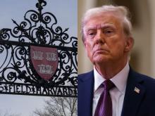 Trump congela 2.200 millones de dólares a Harvard tras no ceder a sus pretenciones