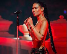 Ana del Castillo detuvo show por presunto robo de su celular