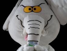 ¿Quién es 'Elefante blanco', que llegó al Senado con más de 100 mil votos?