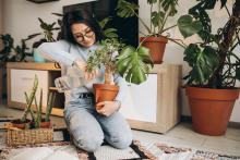 Bicarbonato de sodio en plantas: para qué sirve y cómo aplicarlo sin dañar el jardín